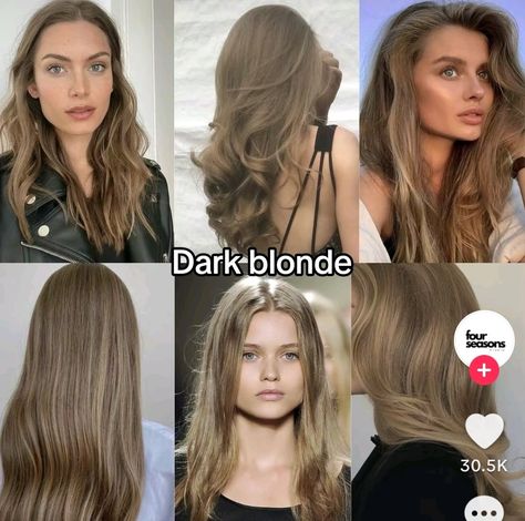 Natural Dark Ash Blonde Hair, Deep Ash Blonde Hair, Light Brown Vs Dark Blonde Hair, Dark Blonde Vs Light Blonde, Old Money Dirty Blonde Hair, Cool Toned Dark Blonde, Neutral Dark Blonde Hair, Dark Blonde Cool Tone, Old Money Blonde Hair Color