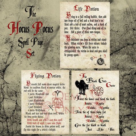 Hocus Pocus Book, Hocus Pocus Spell, Halloween Spell Book, Hocus Pocus Spell Book, Hocus Pocus Party, Halloween Spells, Hallowen Ideas, Halloween Hocus Pocus, Magic Herbs