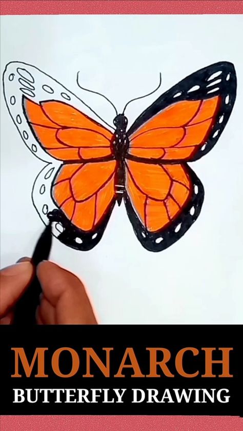 #Monarch butterfly drawing #HowToDraw #drawing tutorial #shorts Butterfly Drawing Step By Step, Draw A Monarch Butterfly, Monarch Butterfly Drawing, Butterfly Drawing Easy, Drawing Easy Step By Step, Drawing Butterfly, Giant Butterfly, Butterfly Video, Drawing Step By Step