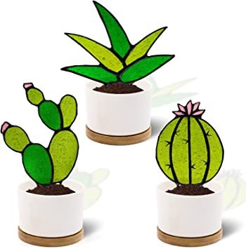 Stained Glass Cactus, Cactus Plant Pots, Windowsill Shelf, Glass Cactus, Cactus Planta, Garden Plant Pots, Plant Pot Decoration, Stained Glass Suncatchers, Stained Glass Flowers