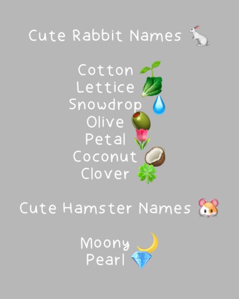 Top 100 Names, Hamster Names, Rabbit Names, Hamster Cages, Animal Icon, Cute Names, Cute Hamsters, Cute Rabbit, Boy Names