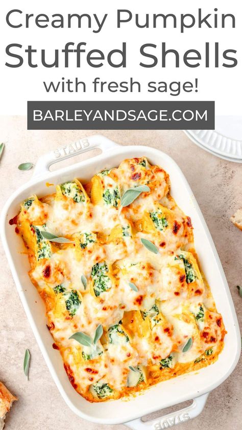 These pumpkin stuffed shells are filled with spiced ricotta and spinach, then smothered in a creamy pumpkin sauce! A cozy twist on classic stuffed shells, they're the perfect vegetarian fall dinner! Pumpkin Manicotti, Pumpkin Stuffed Shells, Shell Pasta Recipes, Spinach Stuffed Shells, Stuffed Shells Ricotta, Favorite Pasta Recipes, Pasta Sauce Homemade, Pumpkin Sauce, Easy Vegetarian Dinner