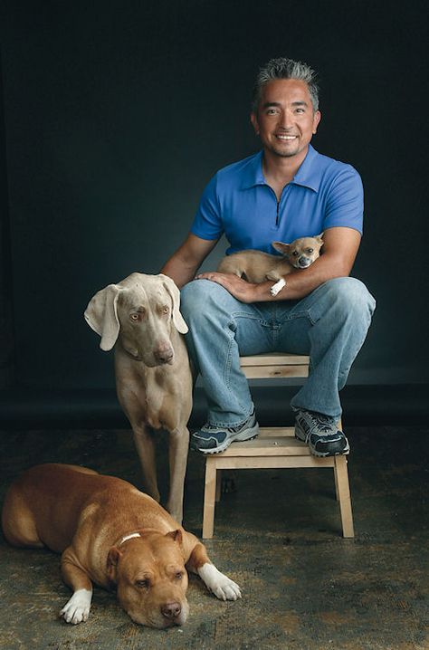 The Long and Short of it All: A Dachshund Dog News Magazine: Dachshunds in Pop Culture: Cesar Millan, The Dog Whisperer