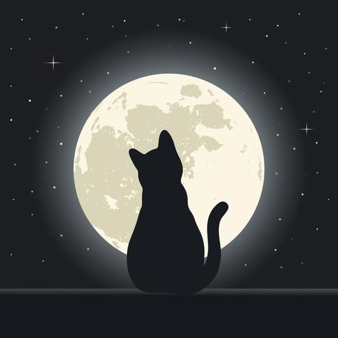 Cat on a background of the night sky with stars and the moon Cat Shadow Painting, Cat Drawing Black, Cat At Night, Night Sky With Stars, Stars And The Moon, Black Cat Drawing, Full Moon Tattoo, Good Night Cat, Sky With Stars