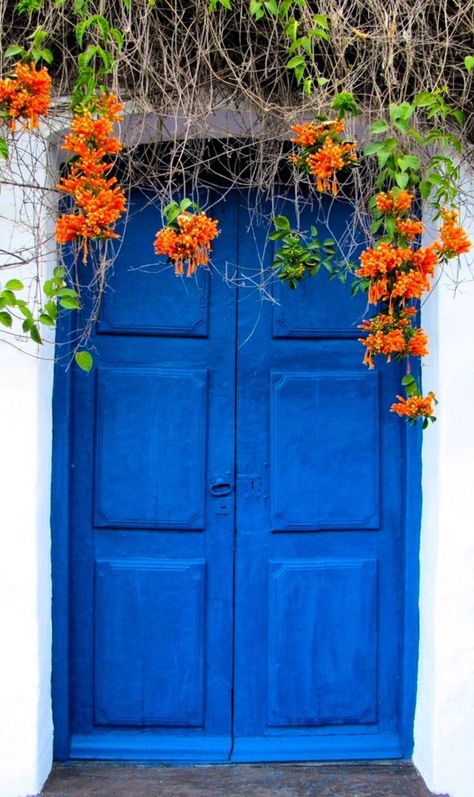 San Miguel de Tucumán, Argentina, Door | ドア | Porte | Porta | Puerta | дверь | Sertã. Nice photo of rich blue door and flowers. Door Architecture, Blue Doors, When One Door Closes, Gorgeous Doors, Magic Garden, Cool Doors, Blue Door, Old Doors, Unique Doors