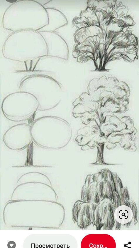 #tattoo #tattoos #inked #tattooart #tattooed #tattooideas #tattoodesign #tattooinspiration #tattoosleeve #tattooflash #inkedgirls #tattooedwomen  #InkLaughs  #TattooFails Trees Art Drawing, Tree Drawings Pencil, Flower Drawing Tutorials, Tree Sketches, Nature Drawing, Pencil Art Drawings, Tree Drawing, Hand Art Drawing, Hand Art