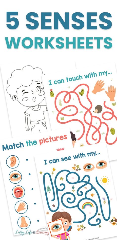 Don't miss out on these 5 senses worksheets! The kids are going to love being able to do these worksheets and have fun while learning about the human body. It's amazing how our brain keeps us safe using the five senses of sight, smell, sound, touch and taste. Five Senses Coloring Page, Five Senses Unit Kindergarten, 5 Senses Activities Sight, Kindergarten Science Worksheets 5 Senses, Life In Five Senses Book, 5 Senses Worksheet, Human Body Worksheets, 5 Senses Activities, Mathematics Activities