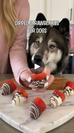 3M views · 33K reactions | Homemade Dipped Strawberries For Dogs! | Homemade Dipped Strawberries For Dogs! | By My Mountain Husky | Facebook Yogurt Chips, Strawberry Snacks, Foods Dogs Can Eat, Strawberry Treats, Carob Chips, Dipped Strawberries, Peanut Butter Dog Treats, Valentines Day Dog, Yogurt Dip