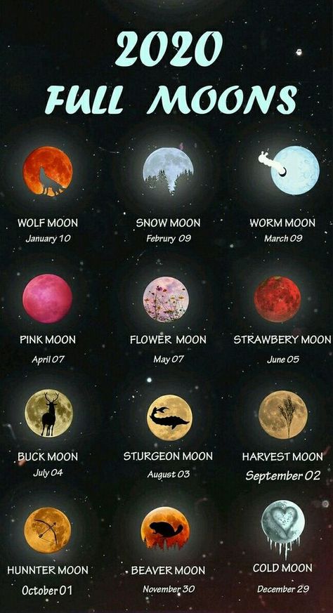 Cer Nocturn, Sturgeon Moon, Materi Bahasa Jepang, Astronomy Facts, Magia Das Ervas, Space Facts, Moon Calendar, Wow Facts, The Full Moon