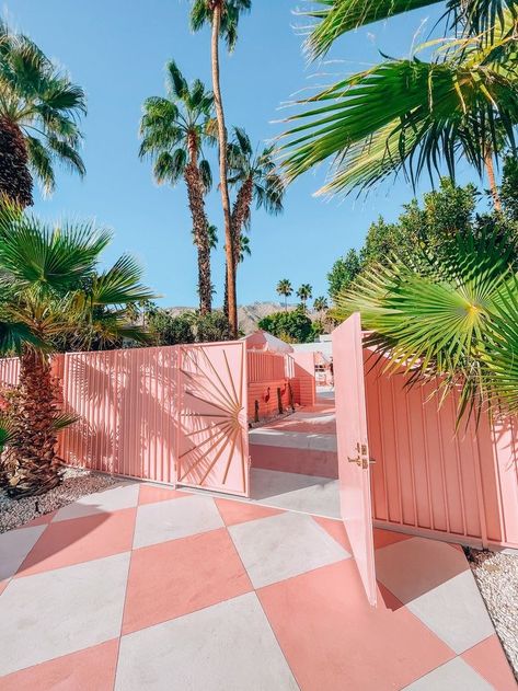 Colorful Backyard Ideas, Motel Makeover, Colorful Outdoor Decor, Motel Aesthetic, Dani Dazey, Trixie Motel, Pink Motel, Palm Springs Pool, Lounge Pool