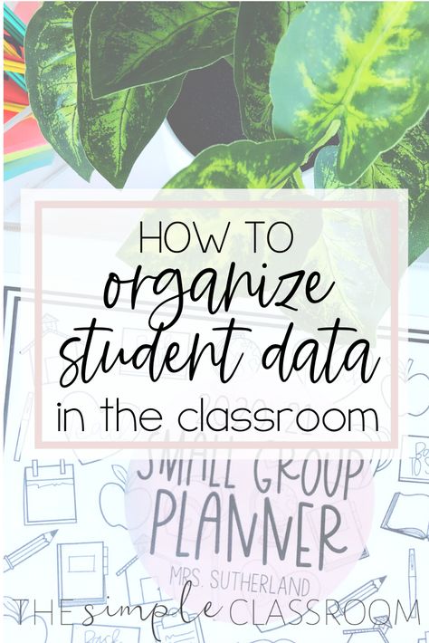 Student Records Organization, Small Group Planning, Data Organization, Simple Classroom, Student Info, School Week, Reading Data, Student Achievement, Center Activities