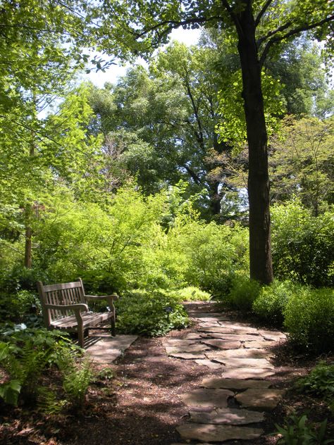 Love woodland gardens! Woodland Gardens, Forest Garden, Retaining Walls, Woodland Garden, Garden Pathway, Beautiful Backyards, Garden Seating, Terrace Garden, Garden Cottage