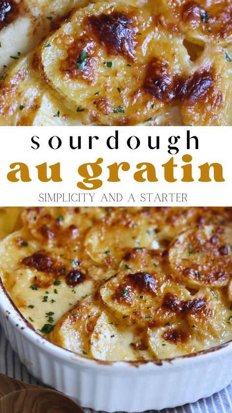 Perfectly creamy, cheesy, and flavorful, these are Sourdough Au Gratin Potatoes at their very best! Sourdough discard is used to thicken the cream sauce. Cover and bake for the most tender and cheesy potatoes - perfect for any holiday table. Au Gratin Potatoes Recipe, Gratin Potatoes Recipe, Starter Ideas, Potato Side Dishes Easy, Sourdough Breads, Au Gratin Potatoes, Food Sides, Recipe Using Sourdough Starter, Au Gratin Potato Recipes