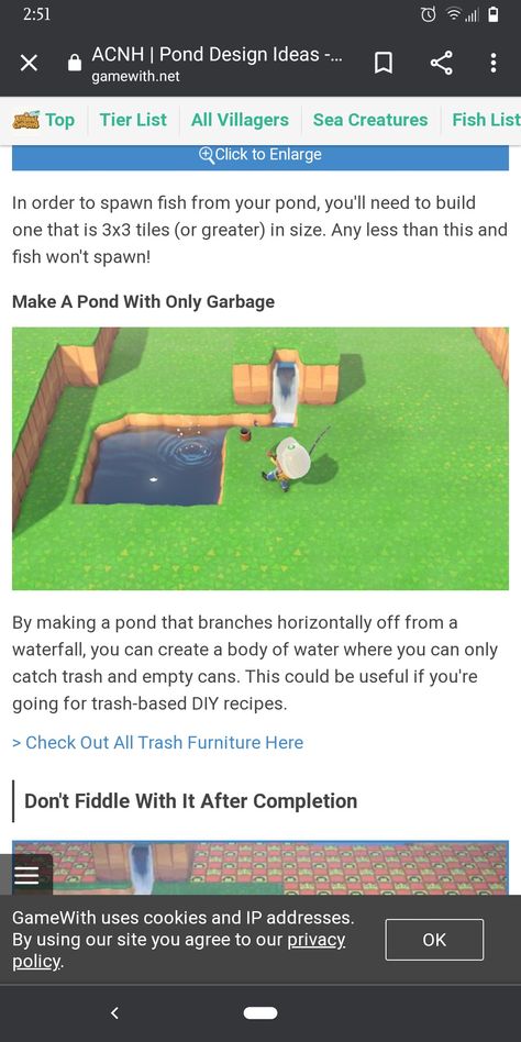 Acnh Swamp, Kawaii Island, Island Aesthetic, Animals Crossing, Ac New Leaf, Animal Crossing Funny, Animal Crossing Memes, Animal Crossing Guide, Talking Animals