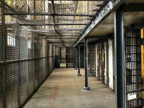 7 Celebrities Who've Gone to Jail and Why Prison Jokes, Facts About Australia, Abandoned Prisons, Prison Cell, Correctional Facility, Between Two Worlds, Correctional Officer, Dream Interpretation, Secret Places