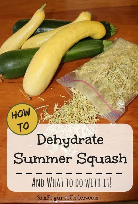 How to Dehydrate Zucchini and Yellow Squash - Six Figures Under Dehydrate Zucchini, Squash Growing, Dehydrating Food Storage, Food Dehydration, Yellow Squash Recipes, Dehydrated Vegetables, Diy Easy Recipes, Canning Food Preservation, Canned Food Storage