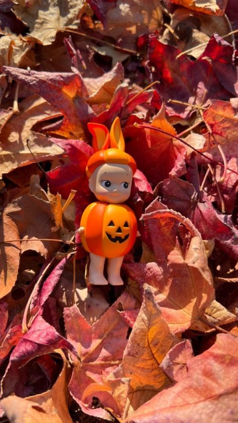 Sony Angel Pumpkin, Fall Sonny Angel, Sonny Angel Pumpkin, Halloween Sonny Angel, Sonny Angel Halloween, Fall Trinkets, Pumpkin Bunny, Cozy Friendsgiving, Sonny Angel Aesthetic