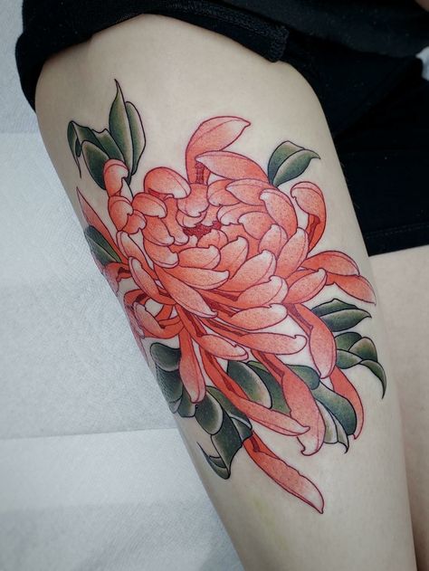 Chrysanthemum by dani padron at green machine tattoos Japanese Traditional Chrysanthemum, Neotraditional Chrysanthemum, Japanese Chrysanthemum Tattoo, Brenda Sykes, Chrysanthemum Tattoos, Neo Japanese, Flor Tattoo, Chrysanthemum Tattoo, Tattoos With Kids Names