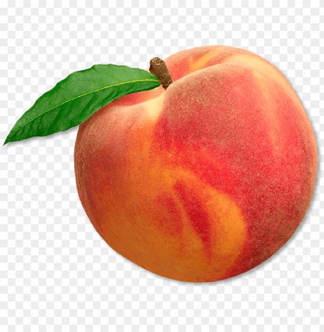 Peaches Background, Background Png Images, Food Delivery App, Peach Background, Charms Earrings, Peach Slices, Free Png Downloads, Delivery App, Clear Background