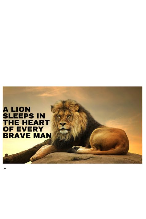 Trading Knowledge, Lion Sleeps Tonight, Brave Man, Man Quotes, Ray Dalio, Inspirational Smile Quotes, The Lion Sleeps Tonight, Brave Heart, Lion Quotes