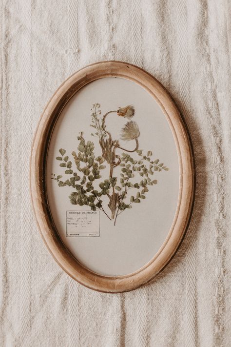 Beautiful pressed flowers surrounded by an oval frame. Details: -Dimensions: 10.3 x 1 x 14 in -Made in China Frame Flowers, Frames For Pressed Flowers, Pressed Flower Nursery, Crafts With Pressed Flowers, Pressed Flowers Framed, Framed Pressed Flowers, Diy Pressed Flowers Frame, Pressed Flower Frame, Pressed Flowers Ideas