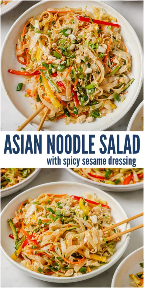 Asian Noodle Salad Recipe, Spicy Asian Noodles, Asian Pasta Salads, Easy Asian Noodles, Asian Pasta, Cold Sesame Noodles, Noodle Salad Cold, Crunchy Veggies, Asian Noodle Salad