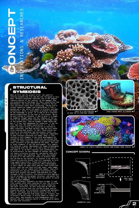 Architectural Ideas for Repurposing Oil rigs Corals Architecture, Coral Concept Architecture, Coral Reef Structure, Coral Reef Architecture, Coral Inspired Architecture, Architectural Concept Board, Nature Architecture Concept, Mindmap Design, Coral Building