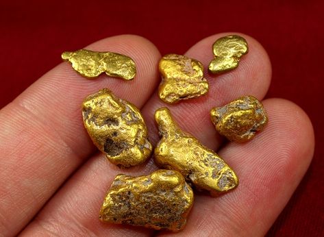 Wyoming Gold - Rich Mining and Panning Areas - RareGoldNuggets.com Neurons Wallpaper, Gold Sluice, Gold Mining Equipment, Gold Reference, Gold Cost, Natural Gold Nugget, Gold Deposit, Gold Panning, Scrap Gold