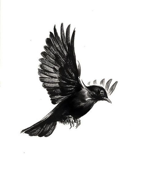 Simple drawing of the flying blackbird. . Color: Black. Tags: First, Easy Herren Hand Tattoos, Tattoo Son, Fly Drawing, Vogel Tattoo, Black Bird Tattoo, Tattoo Bird, Flying Tattoo, Small Bird Tattoo, Crow Tattoo