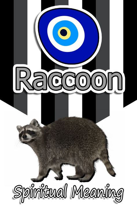 Raccoon Spiritual Meaning Raccoon Spiritual Meaning, Animal Spirit Guides, Your Trash, Animal Spirit, Spiritual Meaning, Racoon, Spirit Guides, Spirit Animal, So Cute