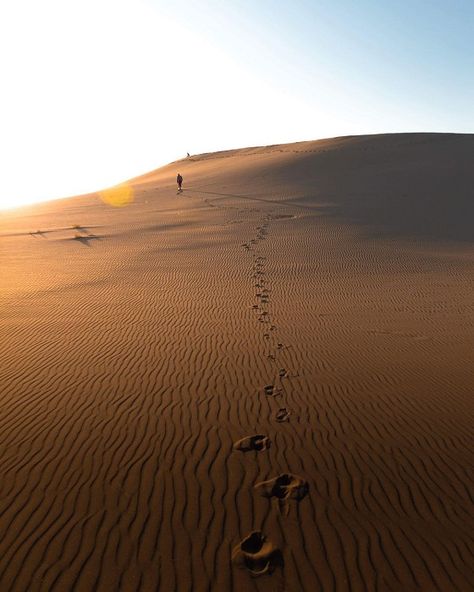 Silver Lake Sand Dunes Michigan, Silver Lake Michigan, Sand Dunes Michigan, Silver Lake Sand Dunes, Michigan Adventures, Desert Aesthetic, Lake Michigan Beaches, Scenic Road Trip, Train Tour