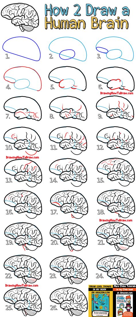 Learn How to Draw a Brain - Simple Step by Step Drawing Tutorial for Beginners Draw A Brain, Simple Step By Step Drawing, Steps Drawing, Biology Drawing, Brain Drawing, Draw Step By Step, How To Draw Steps, Brain Art, Drawing Tutorials For Beginners