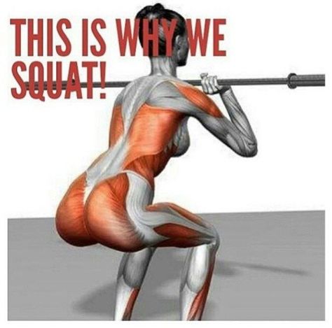 Twitter / IAMFITMISS: Just a reminder: This is why ... Squat Challenge, Sup Yoga, Squat Workout, Fit Girl Motivation, Interval Training, I Work Out, Bodyweight Workout, Weight Training, Healthy Body