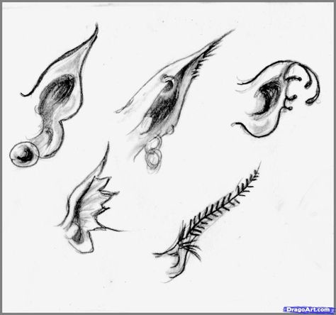 Realistic Fairy, How To Draw Realistic, Fairy Ears, Draw Realistic, Fairy Drawings, Mermaid Drawings, Fantasy Drawings, Realistic Drawings, Drawing Tutorials