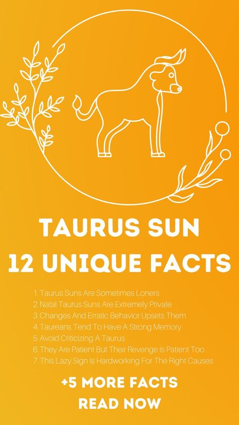 Sun Personality, Sun Facts, Taurus Sun Sign, Taurus Sun, Sun In Taurus, Eclectic Witchcraft, Aquarius And Sagittarius, Pisces And Aquarius, Manipulative People