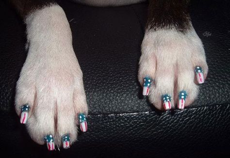 Free Beaded Waving Flag Tutorial and photo of cute doggie patriotic nails Dog Nail Art, Patriotic Nails, Fancy Dog, Dog Nails, Pet Rats, Amazing Animals, Girl And Dog, Nail Paint, Mani Pedi