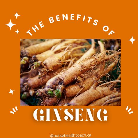 Interested in Ginseng? Here are 3 ways you can incorporate ginseng into your diet: 1. Ginseng tea: Add 2-3 slices of fresh ginseng root to boiling water and let steep for 3-5 minutes. You can also find pre-made ginseng tea bags at most health food stores. 2. Ginseng powder: Mix 1 teaspoon of ginseng powder into a glass of water or juice. 3. Ginseng supplements Talk to your health care professional about taking ginseng supplements, as they can vary in dosage and frequency. Do you want to lea Fresh Ginseng, Ginseng Tea, Ginseng Root, Health Food Store, Glass Of Water, Emergency Department, Intensive Care Unit, Boiling Water, Tea Bags