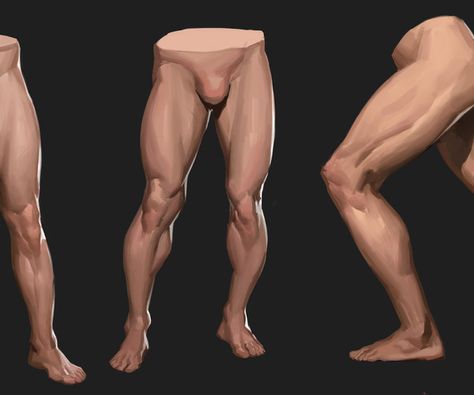 Leg Muscles Anatomy, Leg Drawing, Tb Choi, Process Drawing, Leg Reference, 남성 근육, Leg Anatomy, Drawing Legs, Painting Video