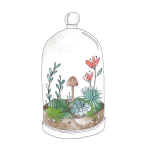 Terrarium Painting, Terrarium Drawing, Mushrooms In A Jar Drawing, Fairy In A Jar Drawing, Terrarium Illustration, Terrarium Drawing Illustration, Plant Doodle, Forest Drawing, Bottle Tattoo