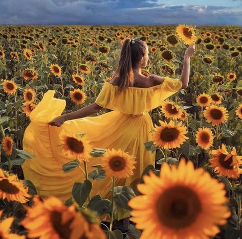 Sunflower Wedding Ideas, Sunflower Field Photography, Sunflower Field Pictures, Slipper For Women, Field At Sunset, Sunflower Photography, Love Vibes, Sunflower Photo, Sunflower Pictures