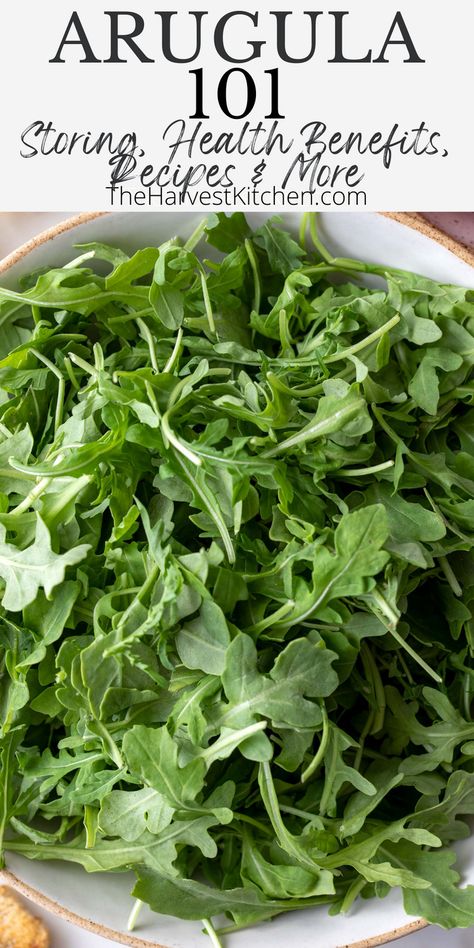 Learn everything there is to know about Arugula lettuce, like why is arugula called rocket, “rocket arugula” and “baby arugula”? What is arugula (is it really a lettuce?) and how to use it. Plus 7 arugula healthy recipes for inspiration. Arugula Recipes Cooked, What To Make With Arugula, Arugula Benefits Health, Arugula And Eggs, Arugula Recipes Breakfast, Baby Arugula Recipes, Arugala Recipes Salad, Argula Recipes Salad, Recipes With Arugula