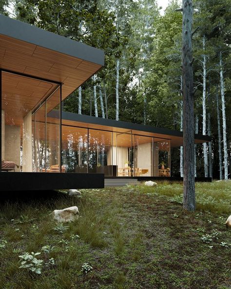 Farnsworth House, California Architecture, Case Study Houses, Forest House, Wood Ceilings, House Architecture Design, Durban, Glass House, Residential Design