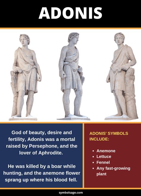 Adonis is proof that the Ancient Greeks valued beauty in both men and women. He was held in such high esteem that he eventually became known as the god of beauty and desire. Adonis Greek Mythology, Adonis Greek God, Adonis Greek, Ancient Spirituality, God Of Beauty, Greek Mythology Goddesses, Greece Mythology, Hope Diamond, World Mythology