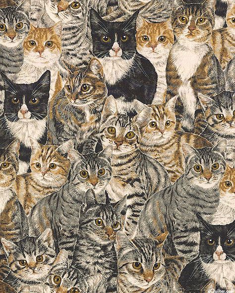 Cats the Way I Like It - Tabby's & Tuxedos - Quilt Fabrics from www.eQuilter.com Tabby Cats, Quilt Fabrics, Cat Blanket, Cat Quilt, Free Quilt Patterns, Cat Artwork, Cat Fabric, Cat Wallpaper, Cute Cats And Dogs