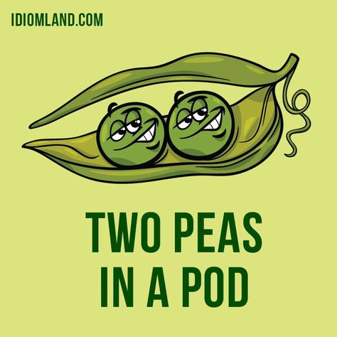 Click on the pin to get our app with examples and pronunciation! Hey there! Our #idiom of the day is ”Like two peas in a pod”, which means “very similar”, especially in appearance. 👦👦  This expression alludes to the seeds contained in a pea pod, which do indeed look very much alike. [Late 1500s]  #english #idioms #twopeasinapod Daily Routine Chart For Kids, Flashcard App, Daily Routine Chart, Two Peas In A Pod, English Time, Idiomatic Expressions, English Phrases Idioms, Idioms And Phrases, Routine Chart