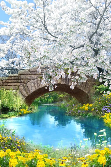 Spring Landscape Photography, Spring Scenery, Beautiful Landscape Photography, Spring Landscape, 수채화 그림, Landscape Pictures, Cool Landscapes, Photography Pictures, Cool Paintings