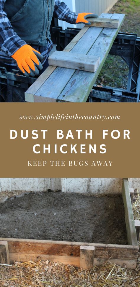 There is a few things you need to provide to your chickens to keep them healthy. One thing is to provide an area, that is out of the weather, where they can dust bathe. This is the way they keep themselves clean and bug free. Winter Dust Bath For Chickens, Chicken Dust Bath, Dust Bath For Chickens, Dust Bath, Chicken Coops, Chicken Coop, Easy Projects, Bugs, The Way