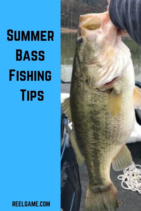 Bass Fishing Girl, Bass Fishing Quotes, Bass Fishing Pictures, Bass Fishing Boats, Fishing Trout, Largemouth Bass Fishing, Trout Fishing Tips, Fishing 101, Summer Fishing