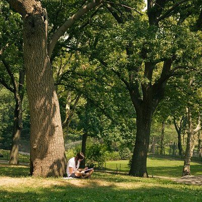 Reading under a tree, one of my favourite locations, especially with the sun shining, you can easily imagine yourself far far away.. Laying Under A Tree, Personality Photoshoot, Reading Under A Tree, Letting Go Book, Sitting Under A Tree, Education Poster Design, Under A Tree, Old Library, Mei Mei