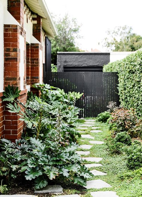 Entertaining Garden Ideas, California Bungalow Exterior, Bungalow Landscaping, Contemporary Extension, Melbourne Garden, Fatsia Japonica, Side Entrance, Stone Paving, California Bungalow